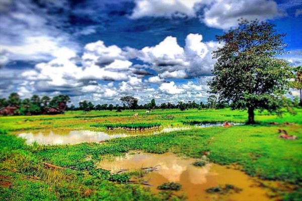 カンボジアの農村